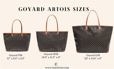 goyard artois pm vs mm.